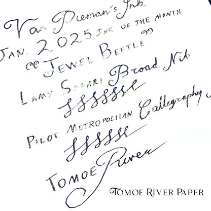 Van Dieman's 2025 January - Jewel Beetle - 100ml Shimmering Fountain Pen Ink